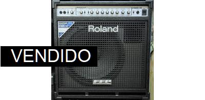 Roland D-BASS 115